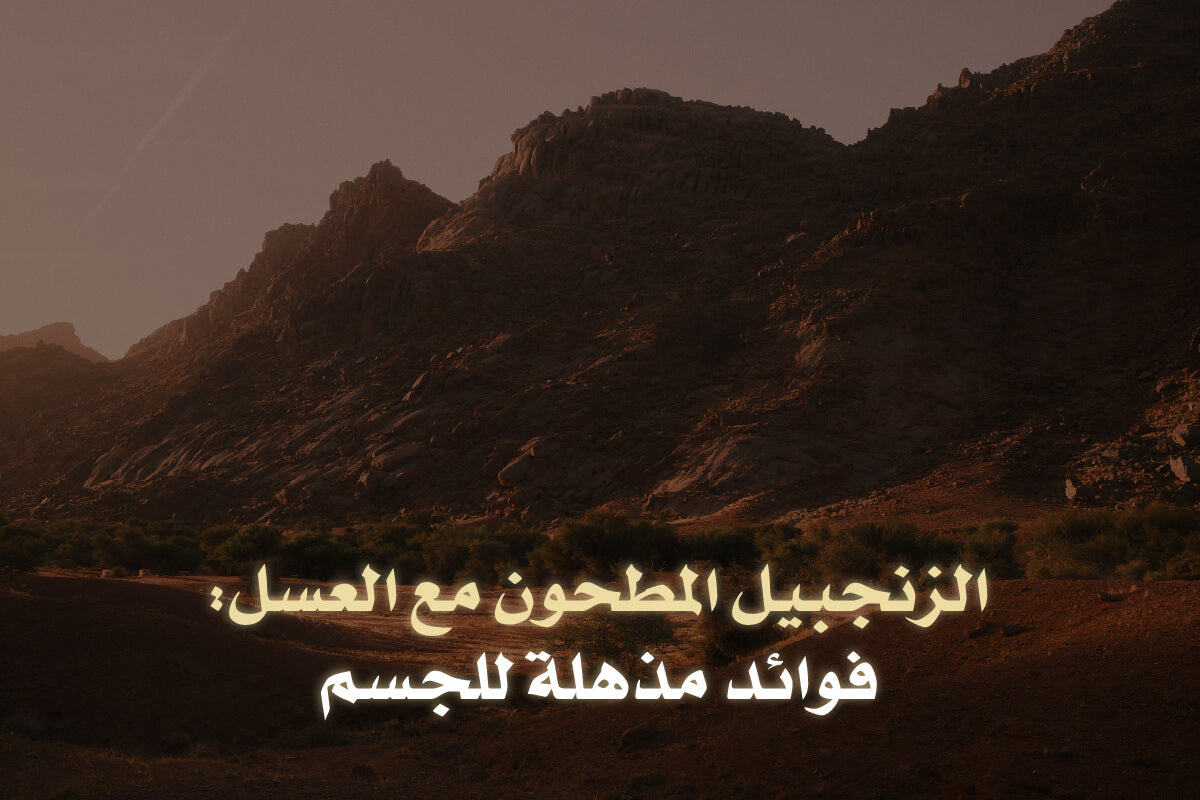 فوائد الزنجبيل المطحون مع العسل