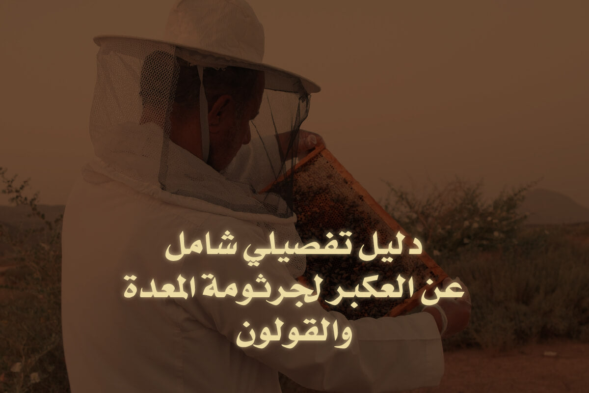 دليل تفصيلي شامل عن العكبر لجرثومة المعدة والقولون