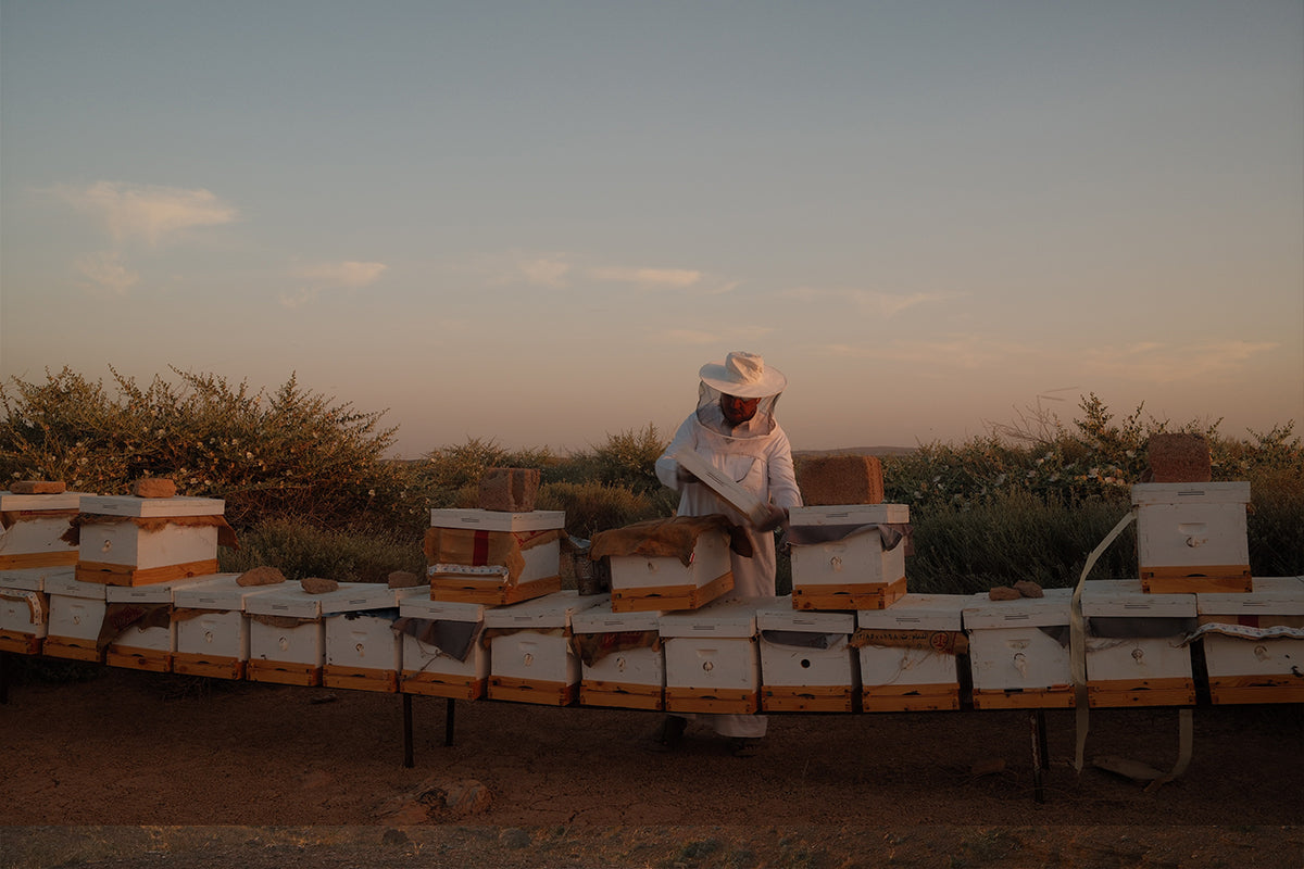 انواع العسل السعودي