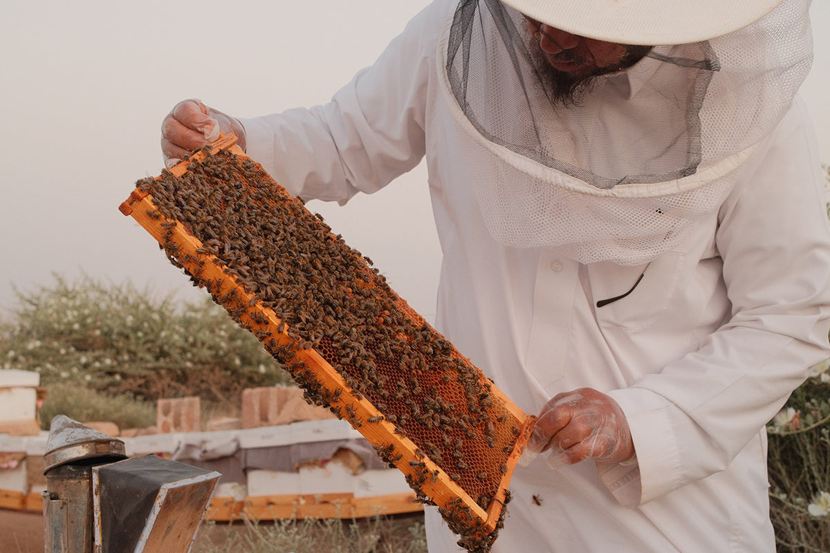 الفرق بين انواع العسل