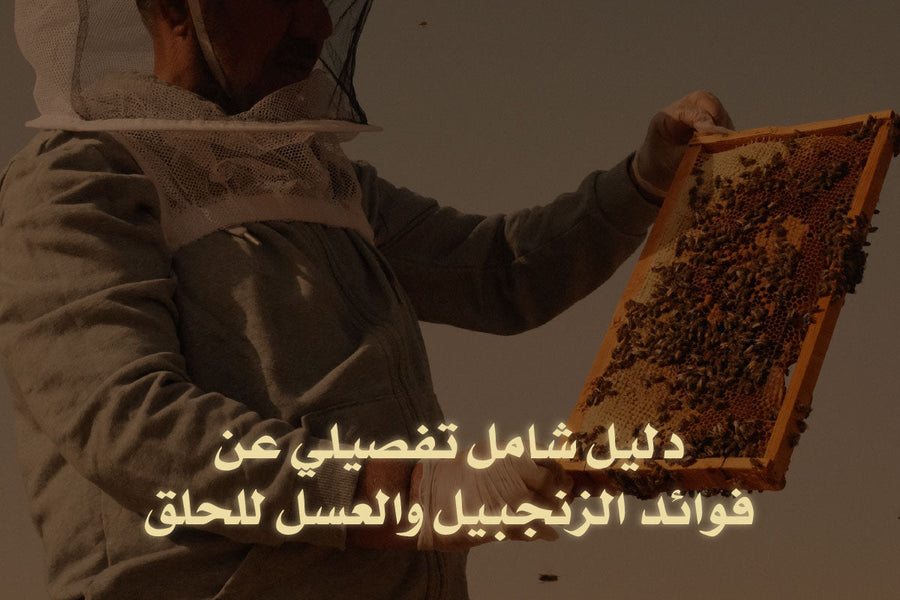 دليل شامل تفصيلي عن فوائد الزنجبيل والعسل للحلق - فهد القنون