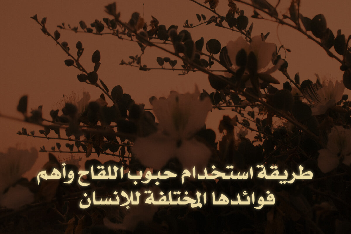 طريقة استخدام حبوب اللقاح وأهم فوائدها المختلفة للإنسان