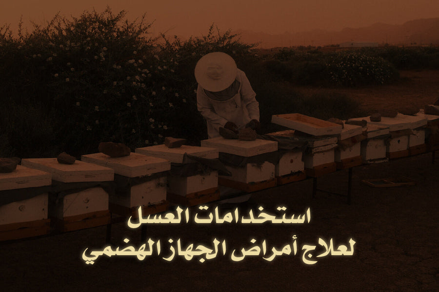 العسل والجهاز الهضمي