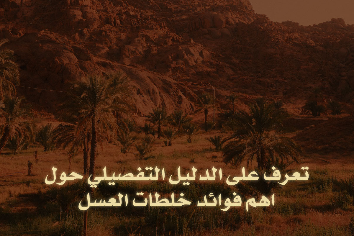 تعرف على الدليل التفصيلي حول اهم فوائد خلطات العسل