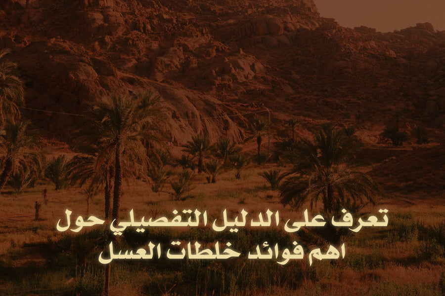تعرف على الدليل التفصيلي حول اهم فوائد خلطات العسل