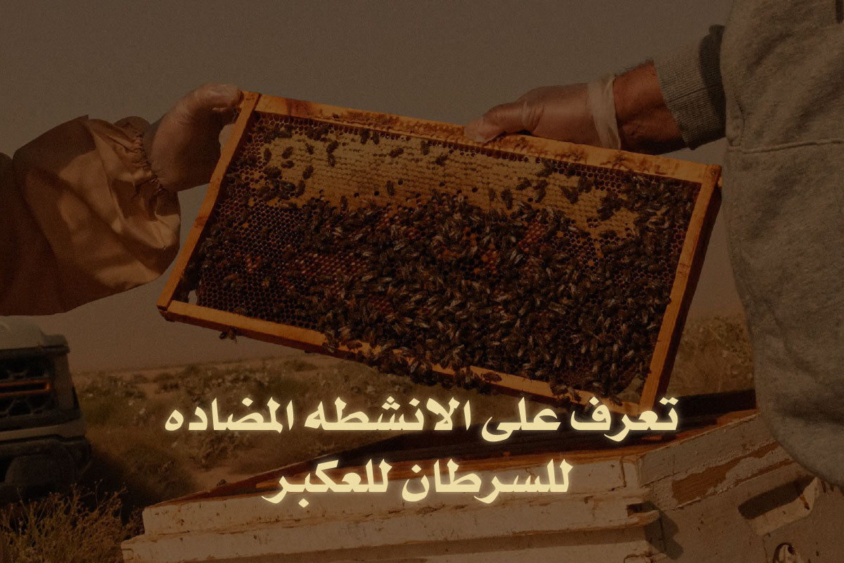 الانشطه المضاده للسرطان للعكبر 	