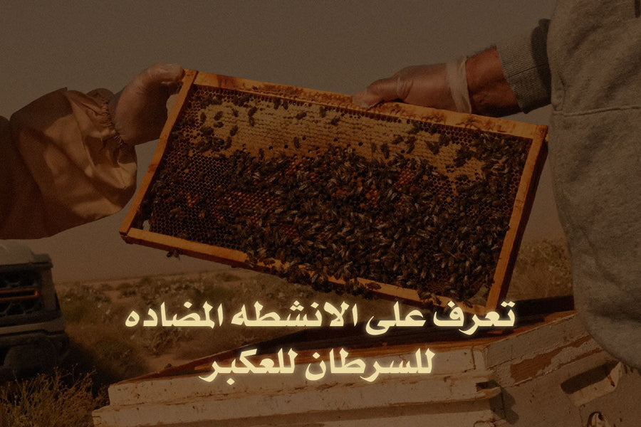 الانشطه المضاده للسرطان للعكبر 	