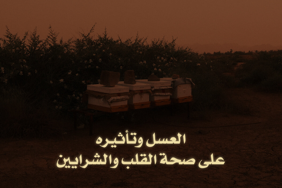 العسل وتأثيره على صحة القلب والشرايين