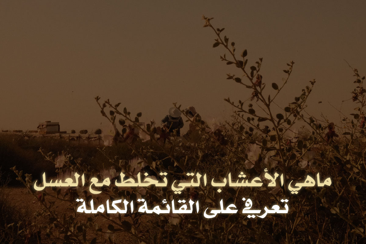 ماهي الأعشاب التي تخلط مع العسل