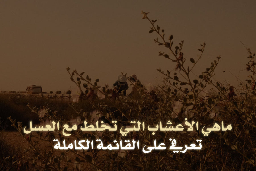 ماهي الأعشاب التي تخلط مع العسل