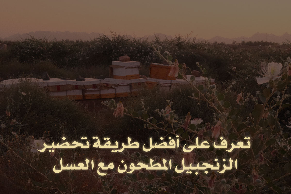تعرف على أفضل طريقة تحضير الزنجبيل المطحون مع العسل
