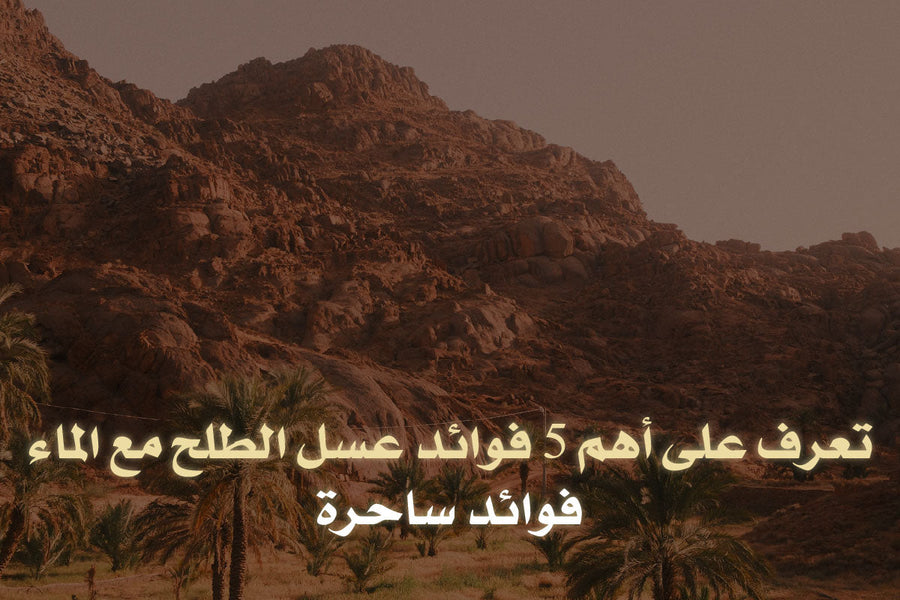تعرف على أهم 5 فوائد عسل الطلح مع الماء - فوائد ساحرة
