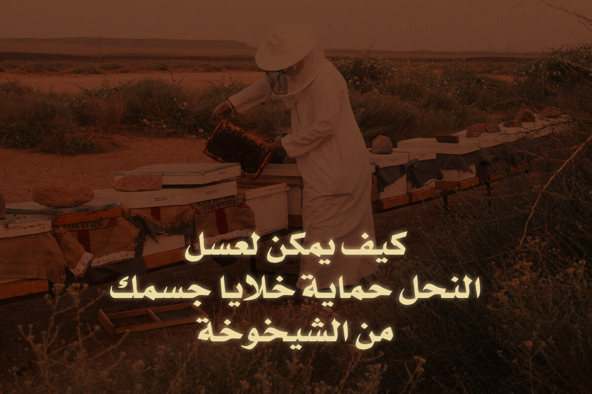 كيف يمكن لعسل النحل حماية خلايا جسمك من الشيخوخة