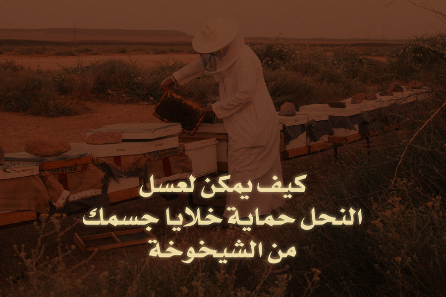 كيف يمكن لعسل النحل حماية خلايا جسمك من الشيخوخة