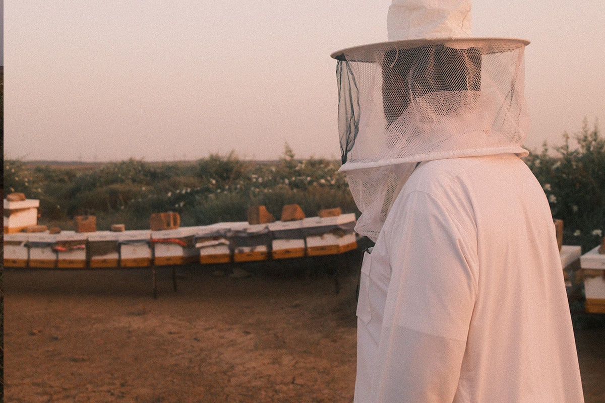 الفرق بين عسل السدر والطلح