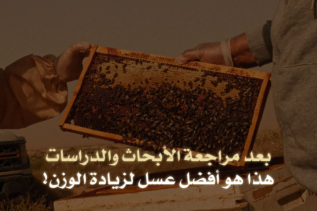 بعد مراجعة الأبحاث والدراسات - هذا هو أفضل عسل لزيادة الوزن!