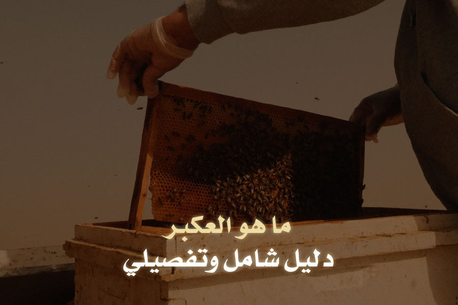 ما هو العكبر؟