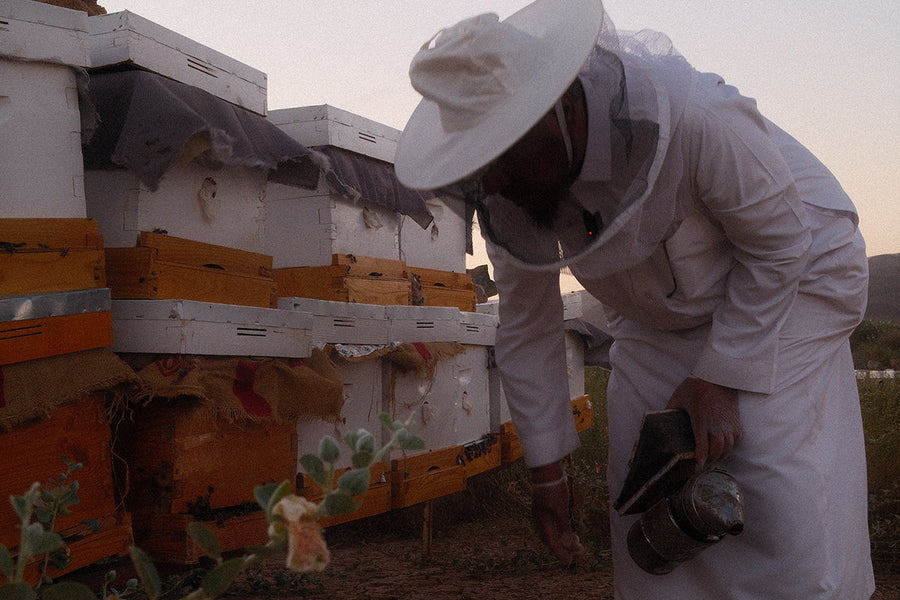 افضل 5 مشروبات بالعسل