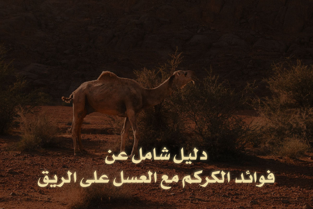 دليل شامل عن فوائد الكركم مع العسل على الريق