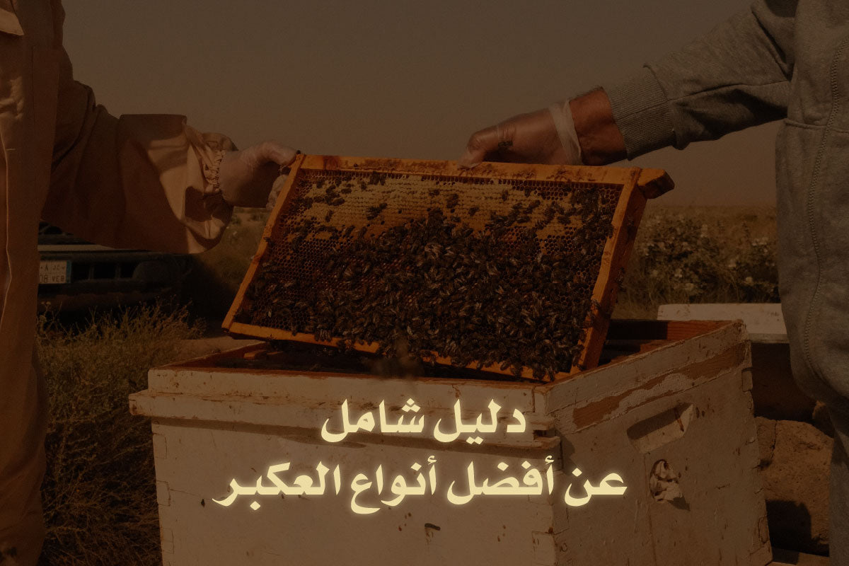 دليل شامل عن أفضل أنواع العكبر