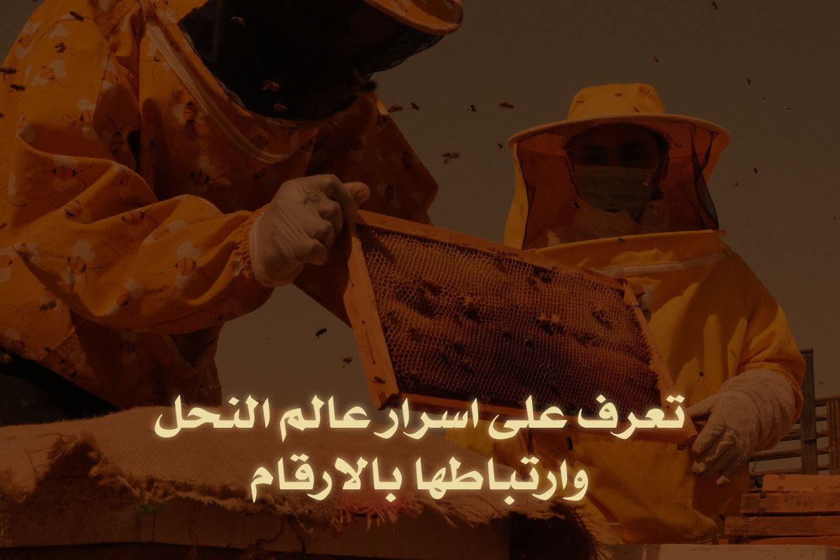 تعرف على اسرار عالم النحل وارتباطها بالارقام
