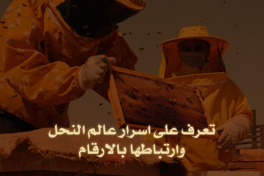 تعرف على اسرار عالم النحل وارتباطها بالارقام