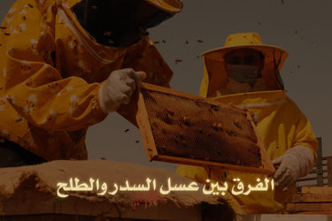 The difference between Sidr honey and Talh honey