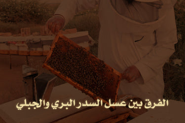 The difference between wild and mountain Sidr honey