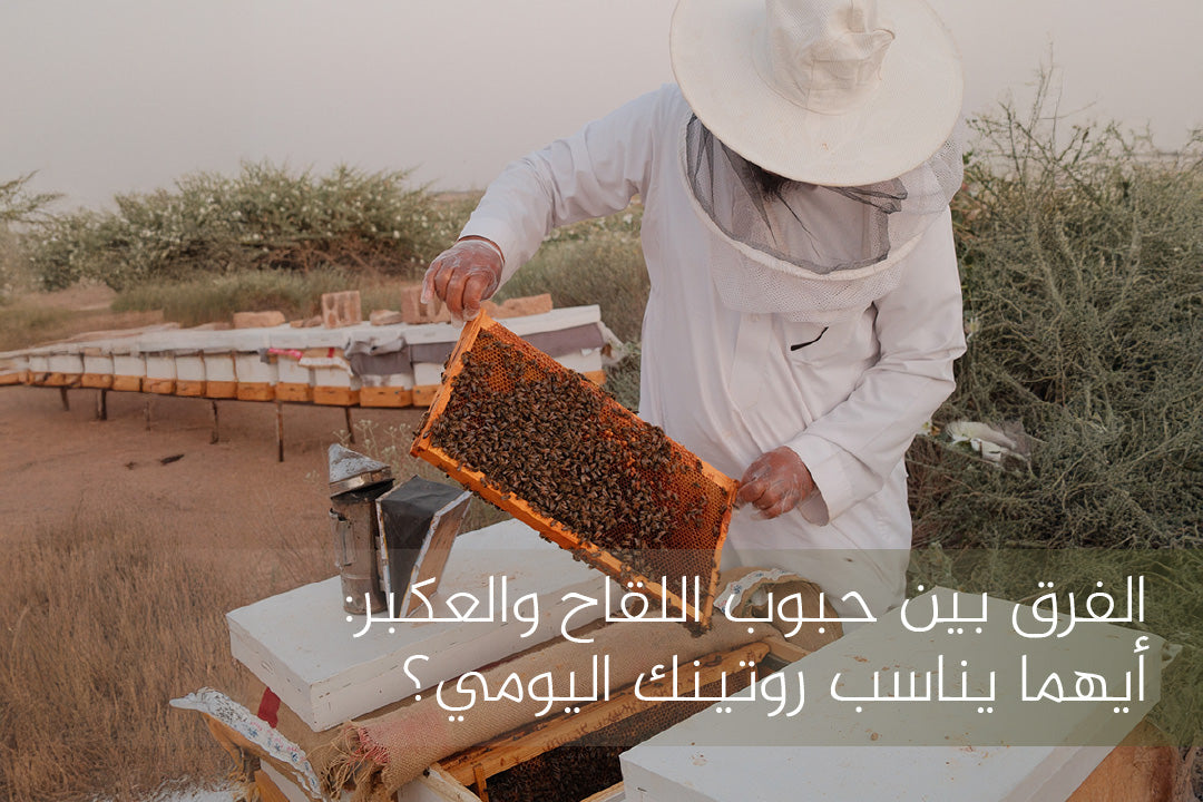 الفرق بين حبوب اللقاح والعكبر