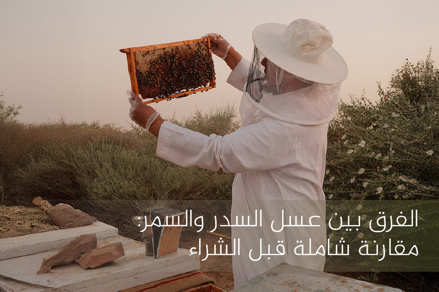 الفرق بين عسل السدر والسمر