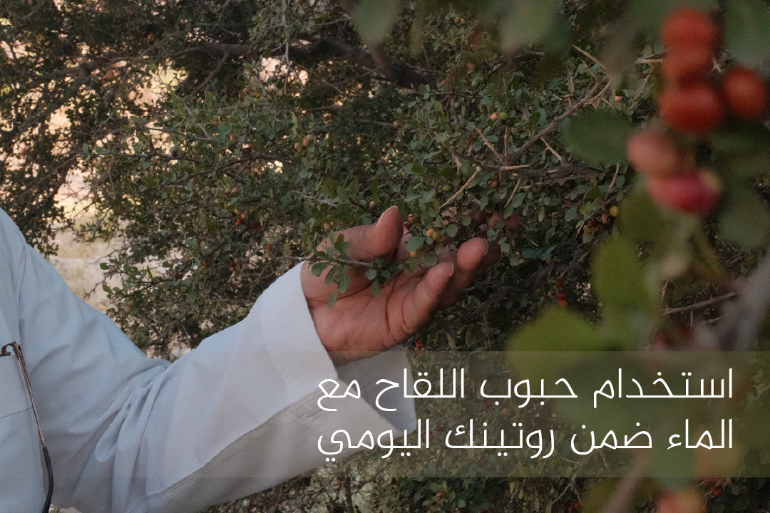استخدام حبوب اللقاح مع الماء