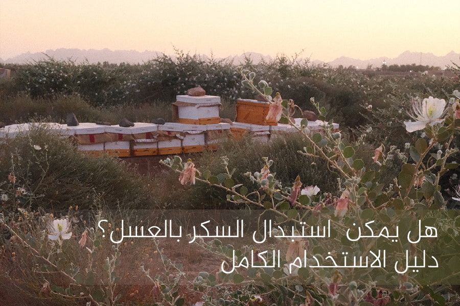  استبدال السكر بالعسل
