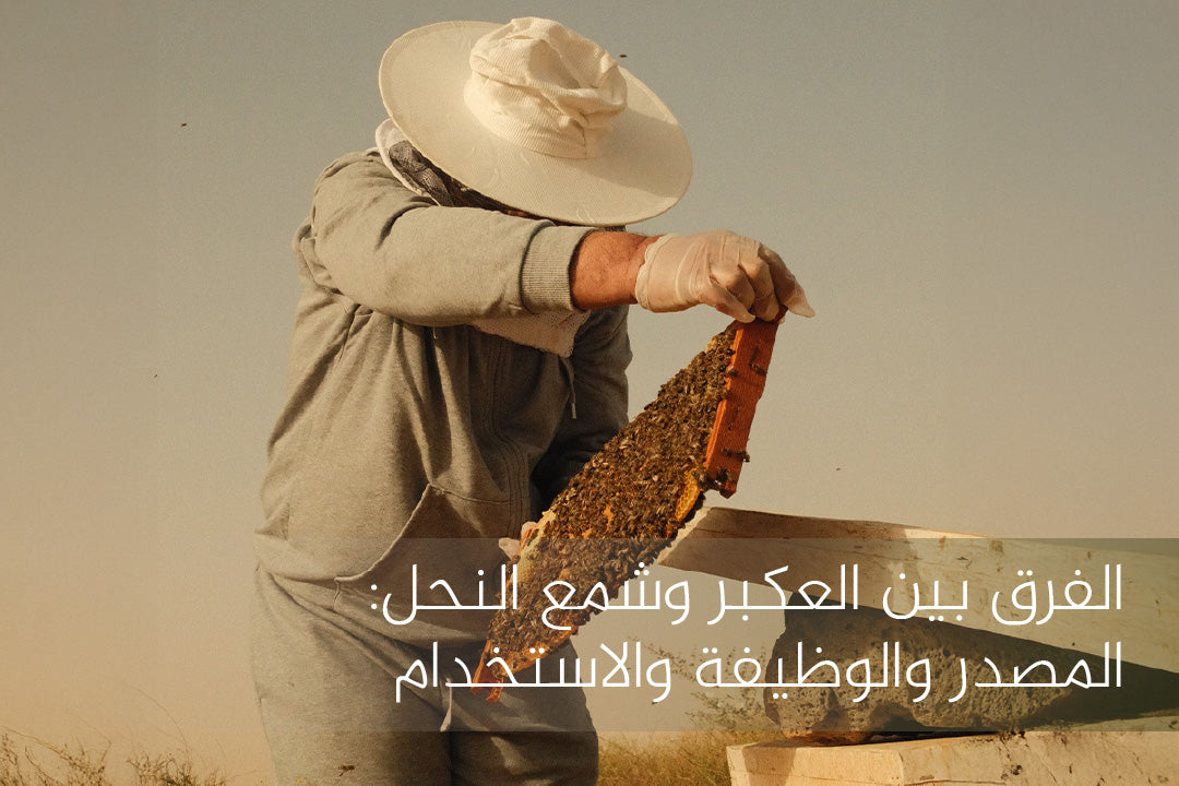الفرق بين العكبر وشمع النحل