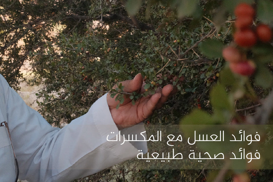 فوائد العسل مع المكسرات