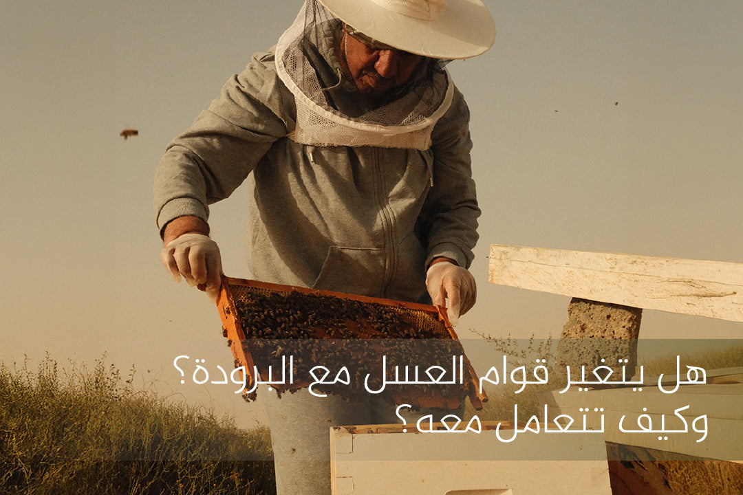 قوام العسل 