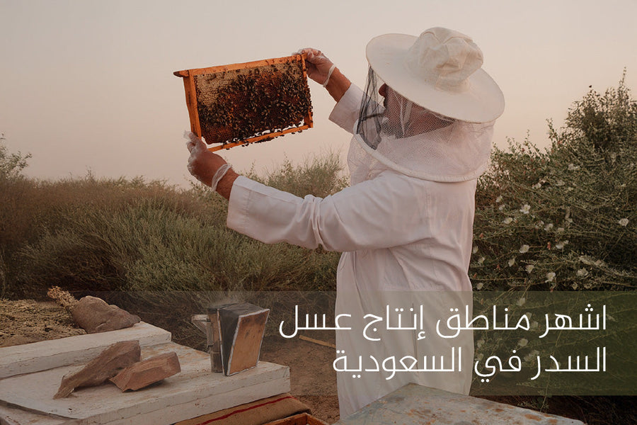 مناطق إنتاج عسل السدر في السعودية
