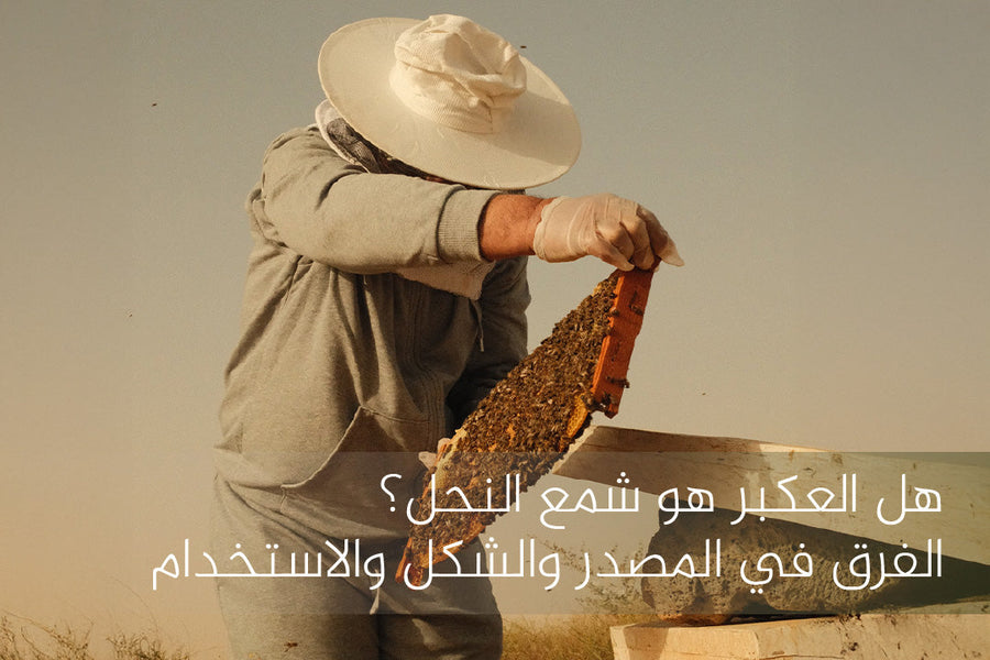 هل العكبر هو شمع النحل