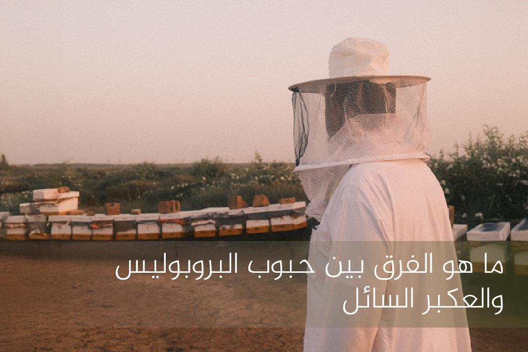ما هو الفرق بين حبوب البروبوليس والعكبر السائل