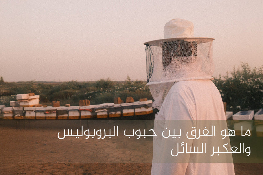 ما هو الفرق بين حبوب البروبوليس والعكبر السائل