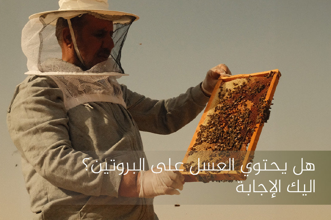 هل يحتوي العسل على البروتين؟