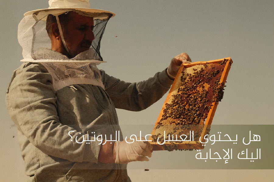 هل يحتوي العسل على البروتين؟