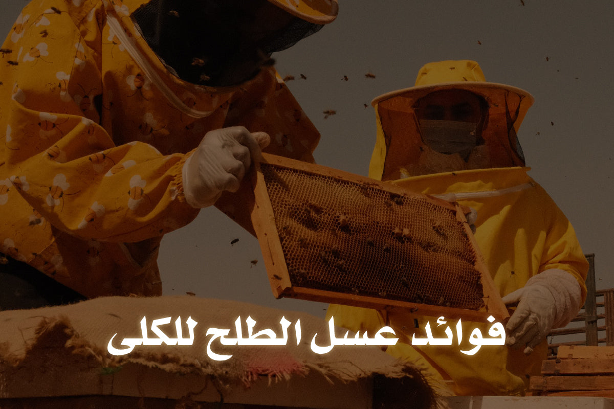 فوائد عسل الطلح للكلى