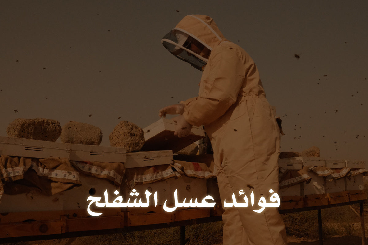 فوائد عسل الشفلح