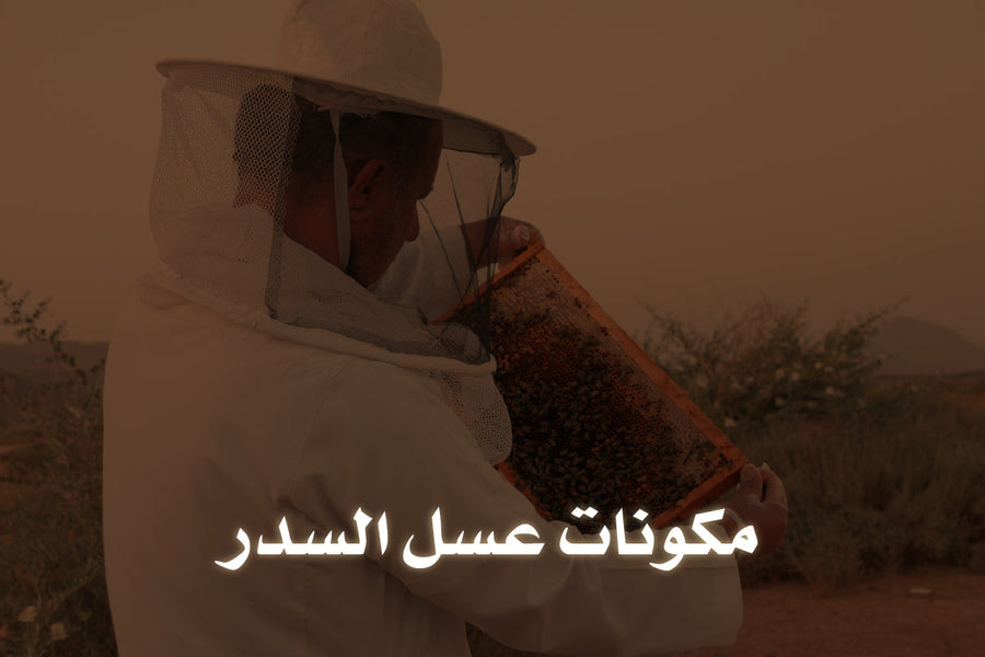  مكونات عسل السدر 
