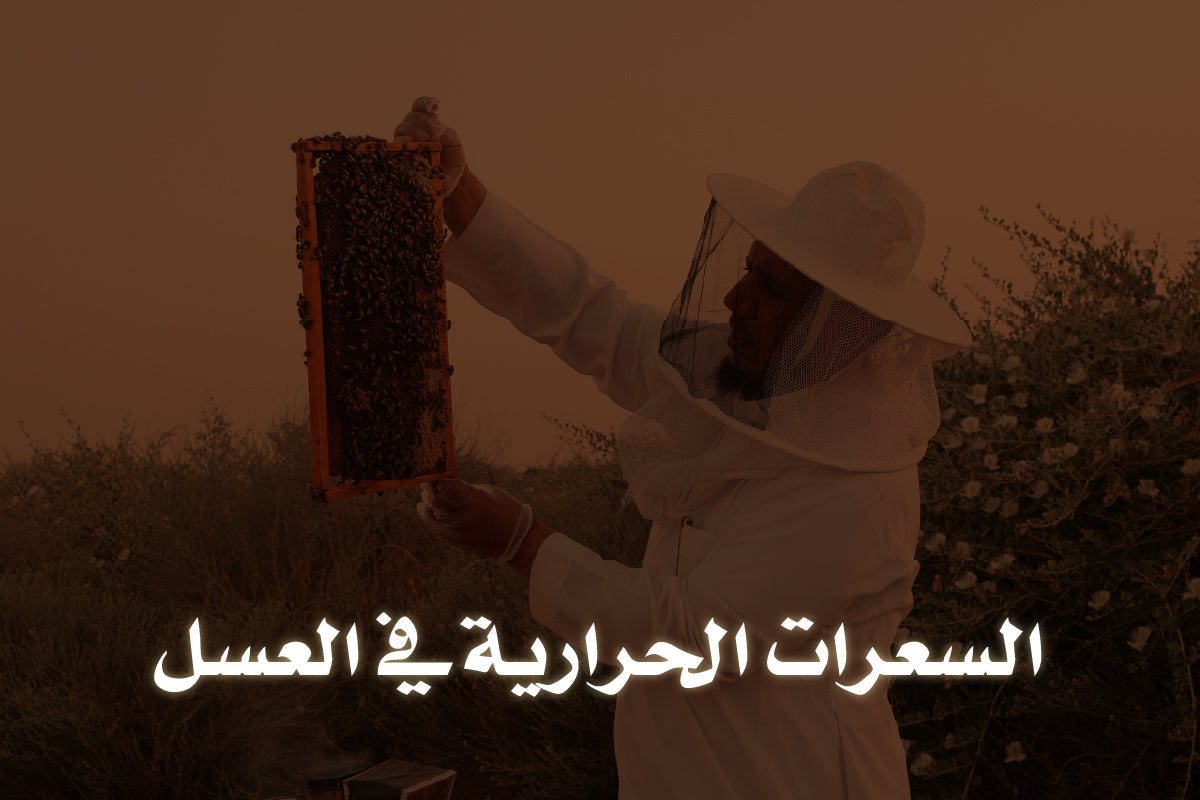 السعرات الحرارية في العسل