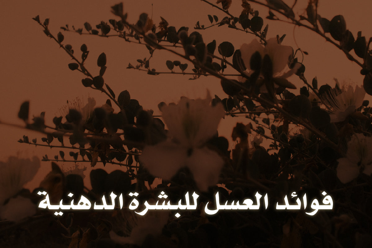 فوائد العسل للبشرة الدهنية 
