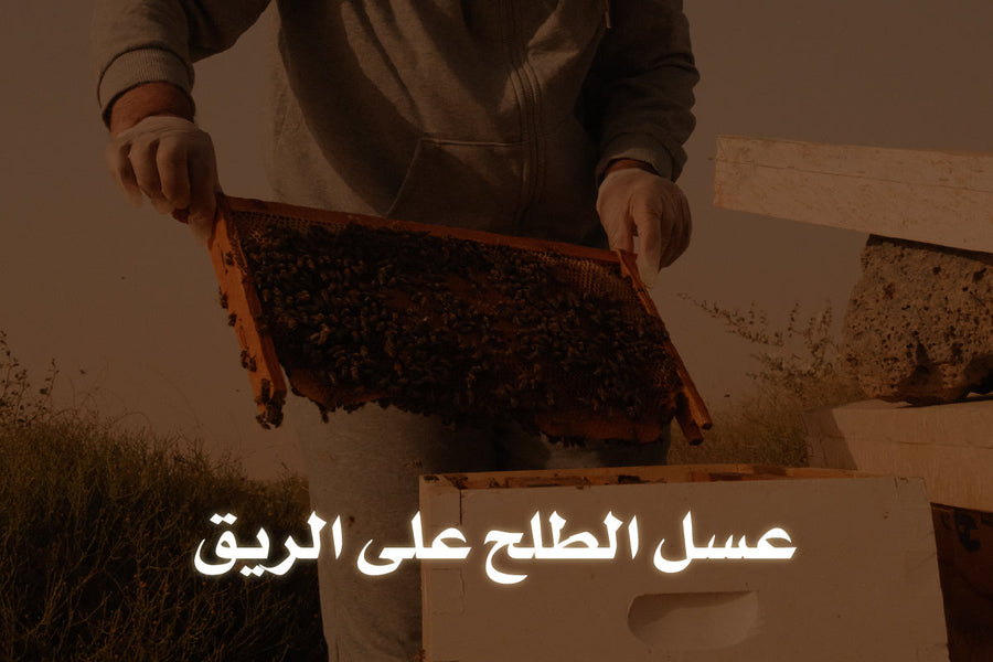 عسل الطلح على الريق