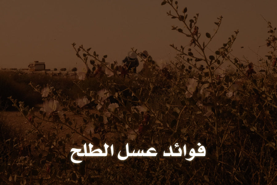 فوائد عسل الطلح