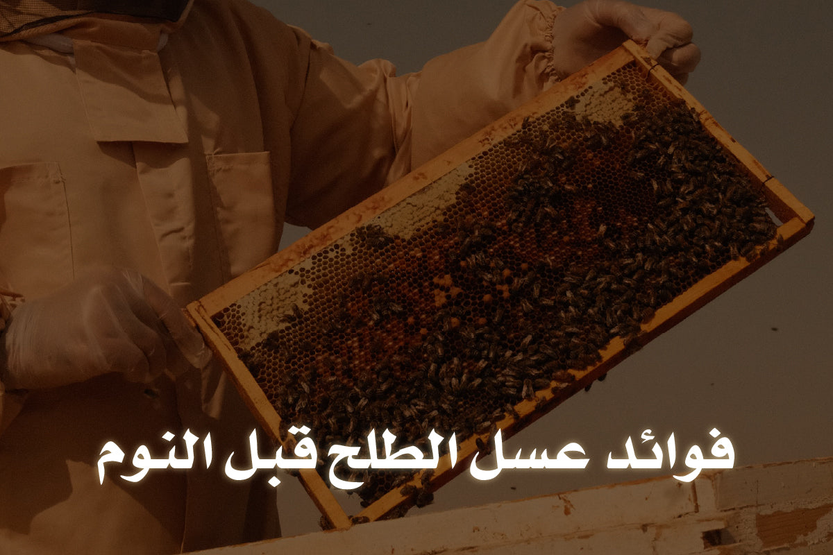 فوائد عسل الطلح قبل النوم