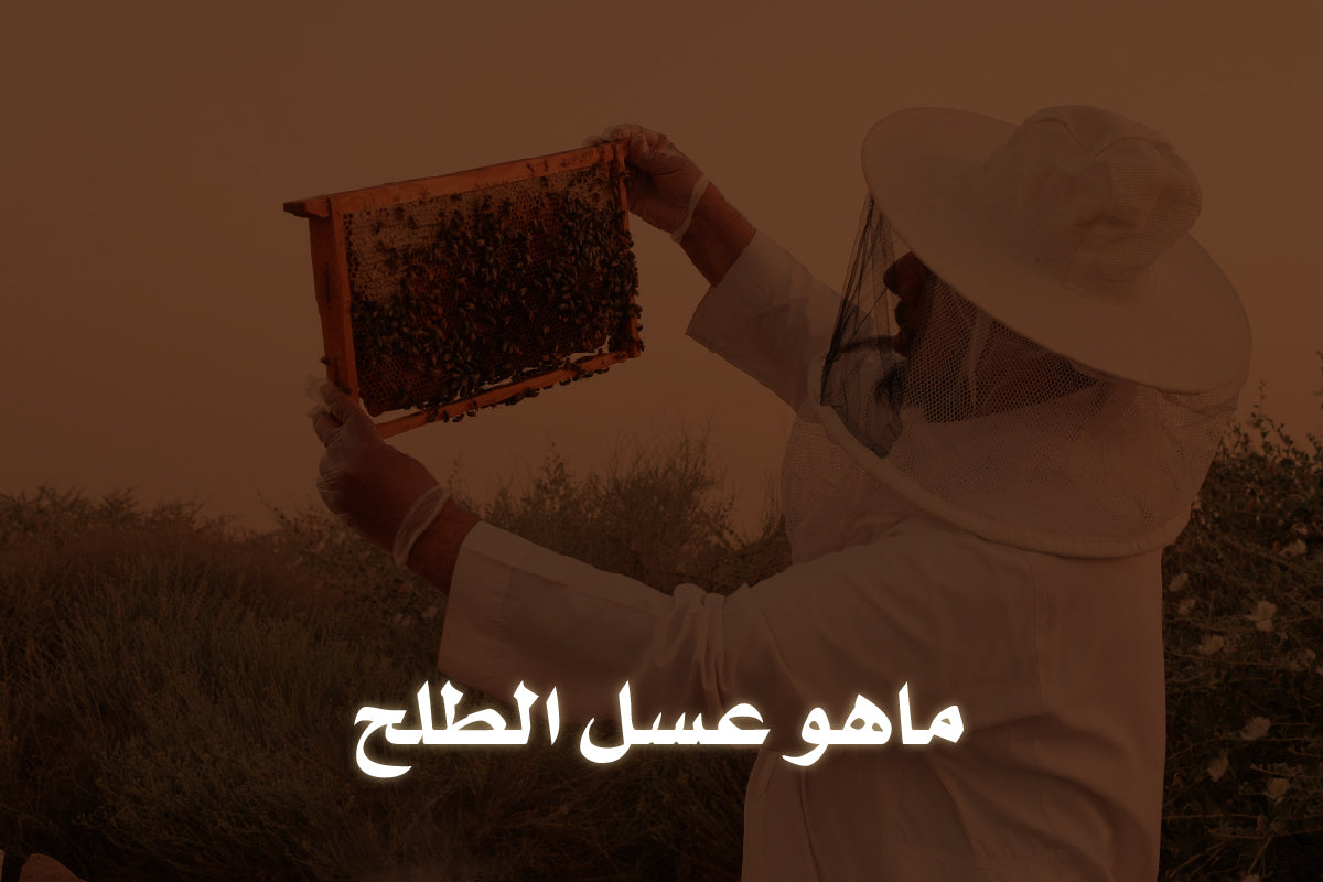 ماهو عسل الطلح